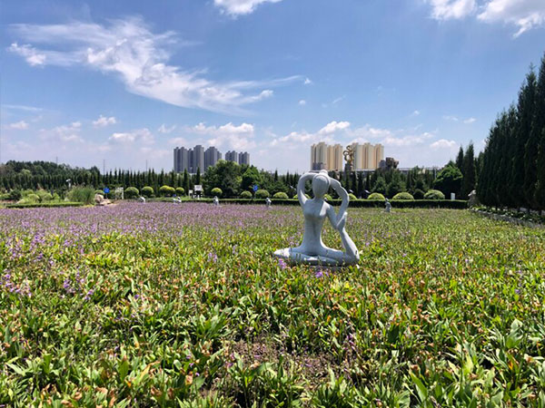皇龙岗墓园环境 (3)